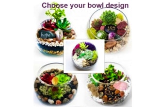 Plant Nite: Bowl Designs